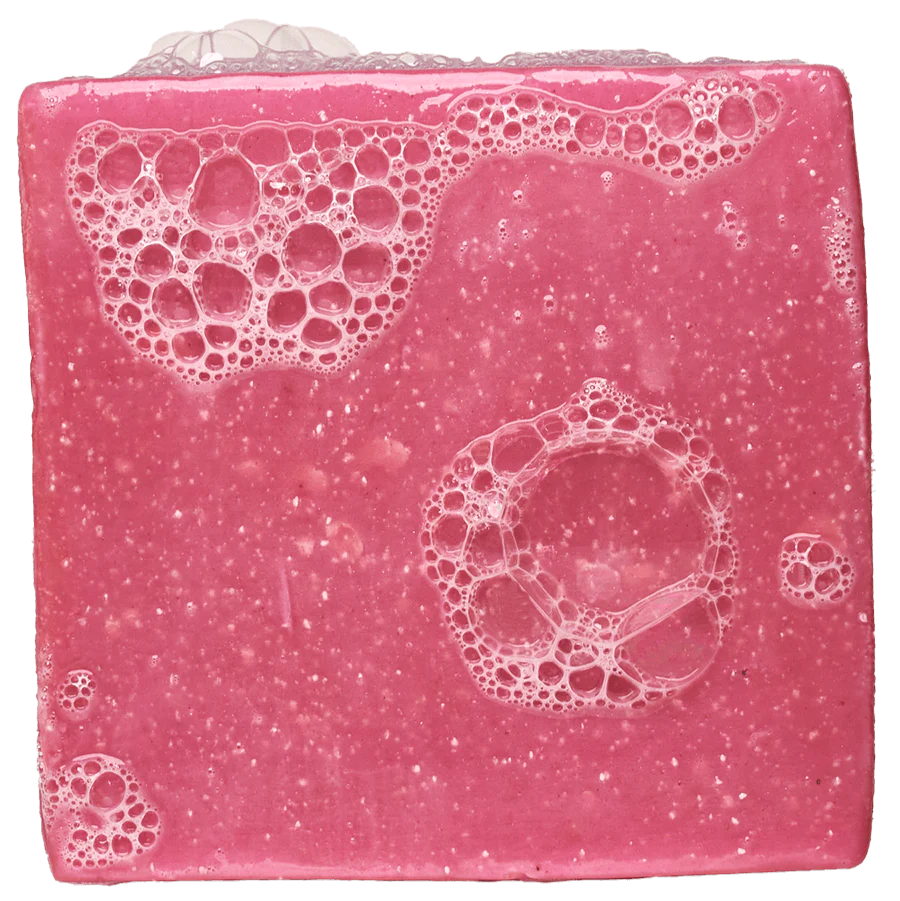 Dr. Squatch Fight Scrub Soap Bar
