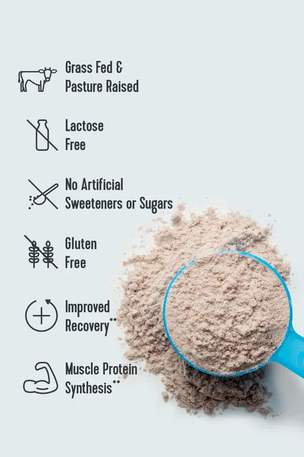 Vital Performance™ Protein Powder (Chocolate)