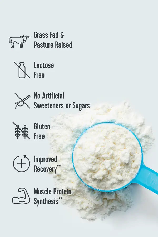 Vital Performance™ Protein Powder (vanilla)